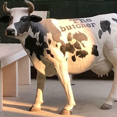 شقة The Butcher-Ducati And Airport Blq بولونيا المظهر الخارجي الصورة